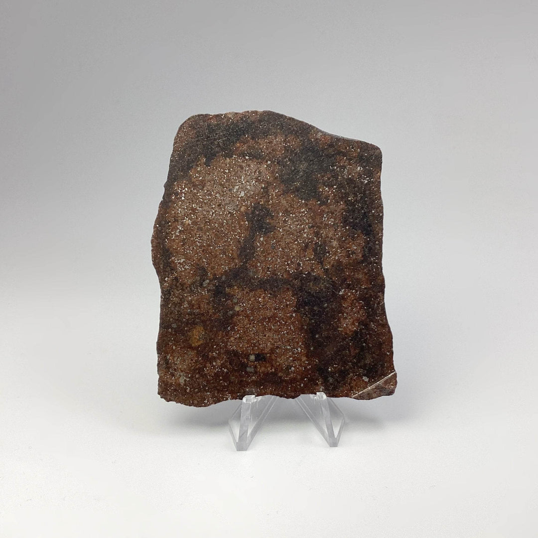 NWA Chondrite Meteorite Slab - Rocks and Gems Canada