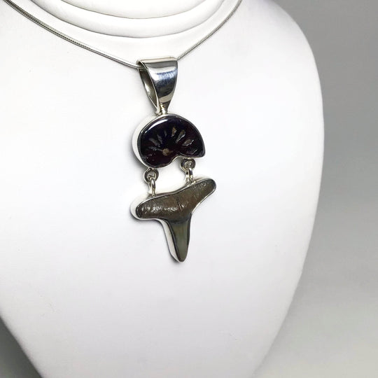 Fossilized Shark Tooth with Ammonite Pendant - Rocks and Gems Canada