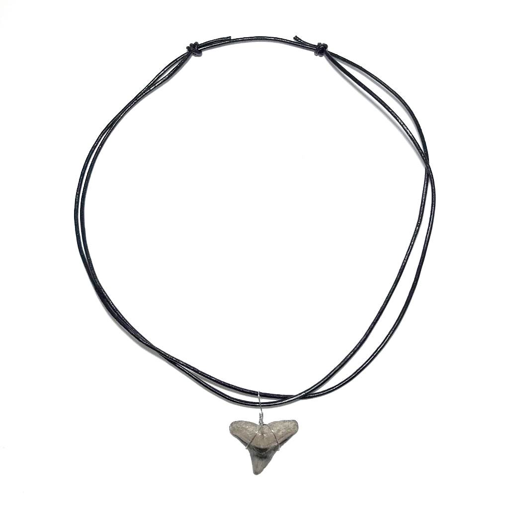 Shark Tooth Fossil Wire Wrapped Necklace - Rocks and Gems Canada