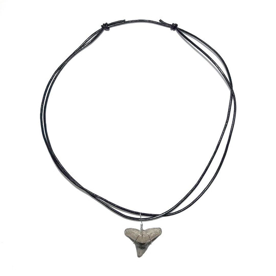 Shark Tooth Fossil Wire Wrapped Necklace - Rocks and Gems Canada