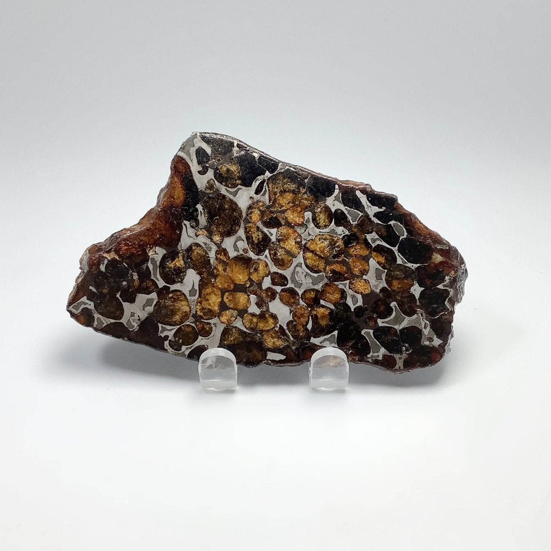 Sericho Meteorite Slice - Rocks and Gems Canada