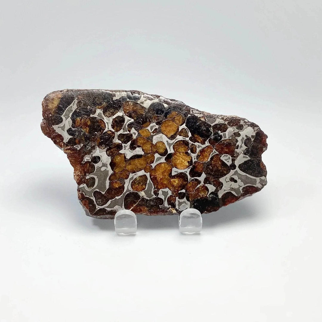 Sericho Meteorite Slice - Rocks and Gems Canada