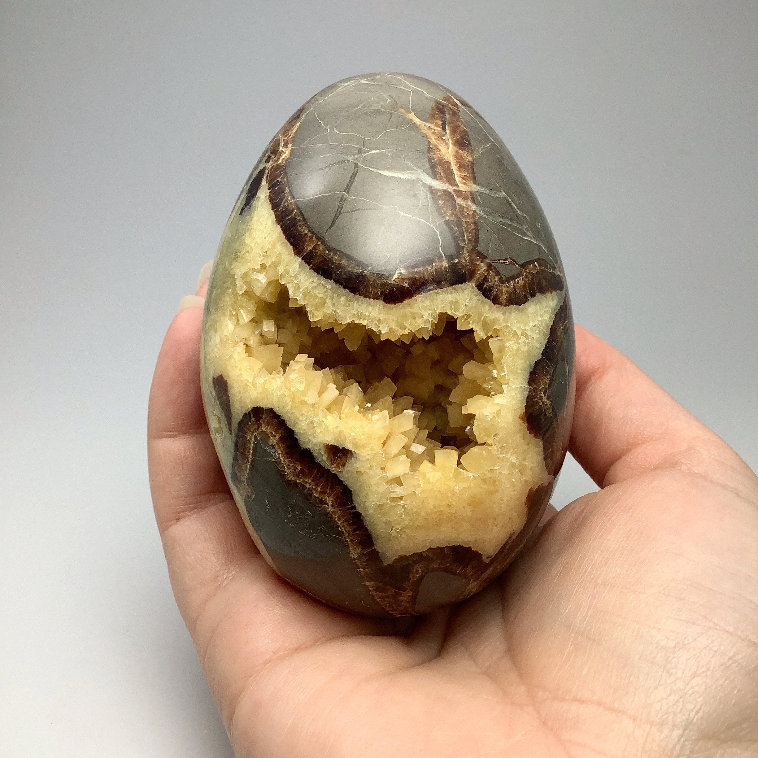 Septarian ring deals