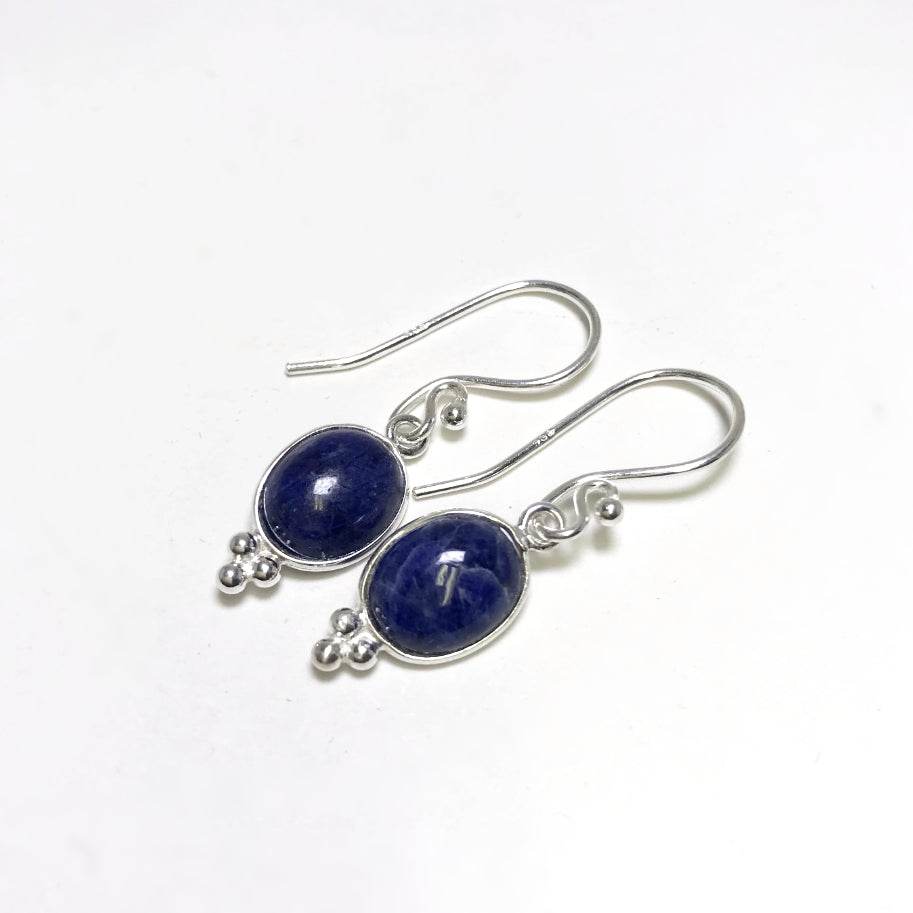 Sodalite Dangle Earrings - Rocks and Gems Canada