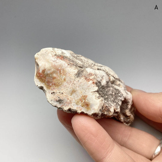 Petrified Wood Branch - Rocks and Gems Canada