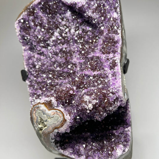 Large Amethyst Druze Cluster on Display Stand - Rocks and Gems Canada