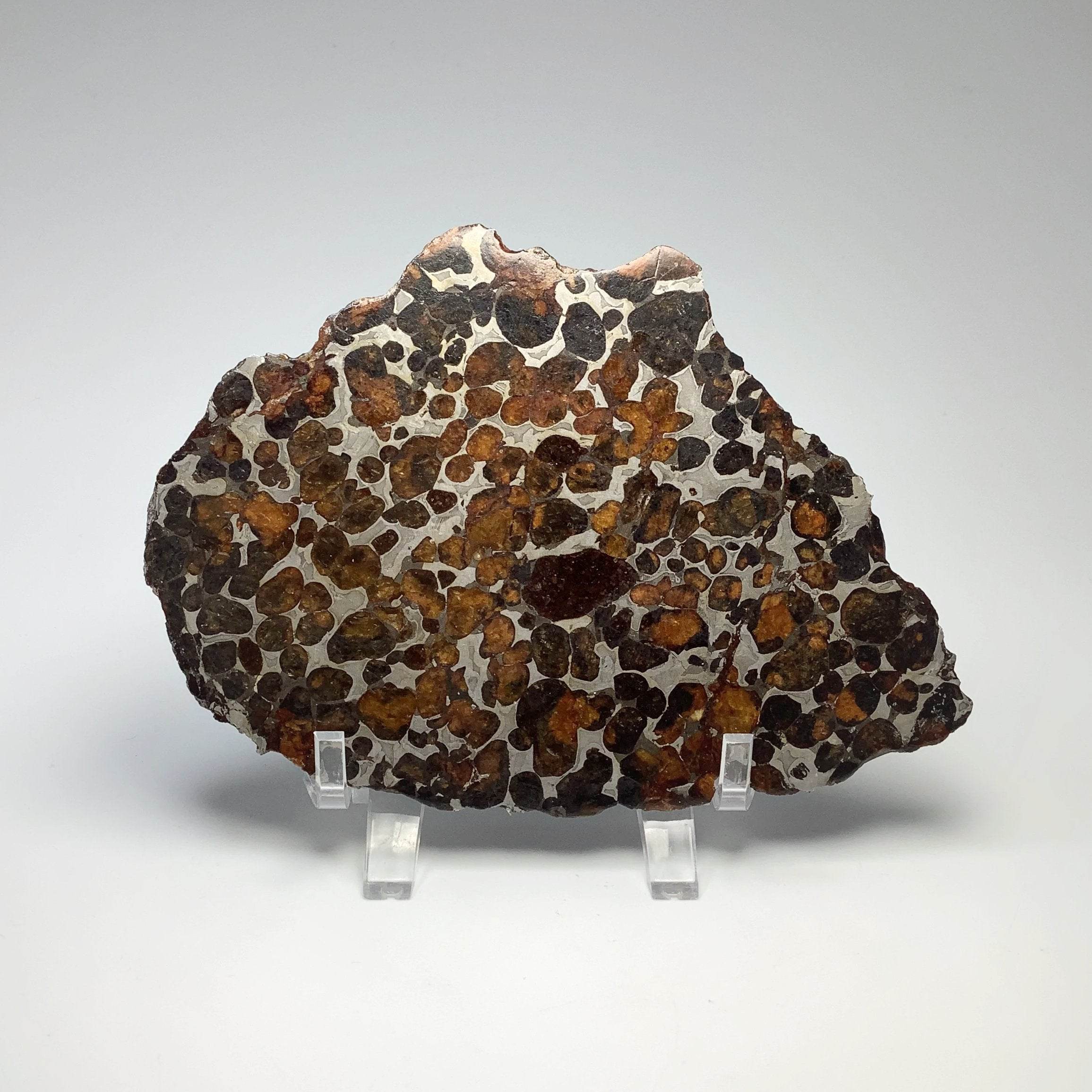 Sericho Large Meteorite Slice - Rocks and Gems Canada