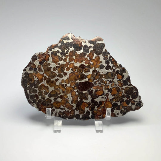 Sericho Large Meteorite Slice - Rocks and Gems Canada