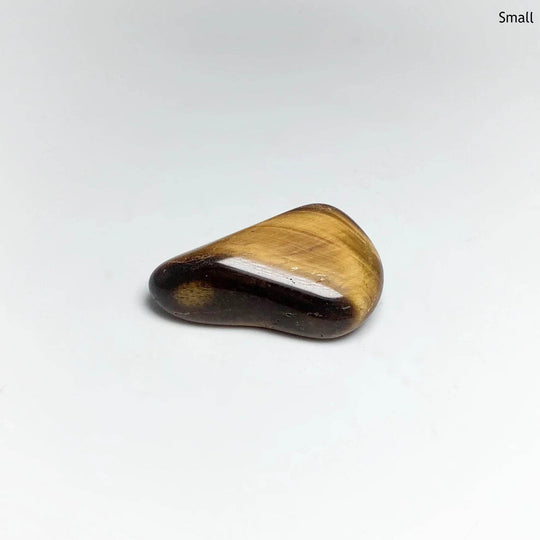 Tiger Eye Tumble - Rocks and Gems Canada