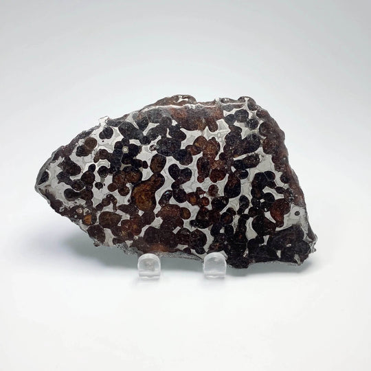 Sericho Meteorite Slice - Rocks and Gems Canada