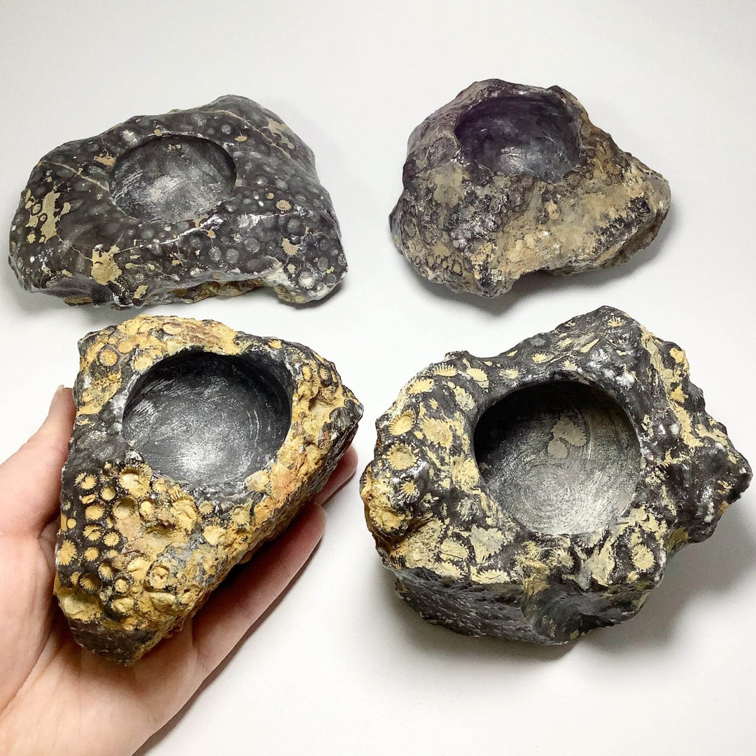 Fossilized Coral Bowl - Rocks and Gems Canada