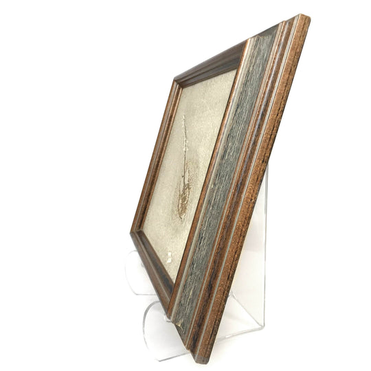 Heliobatis Fossil Plate in Frame - Rocks and Gems Canada