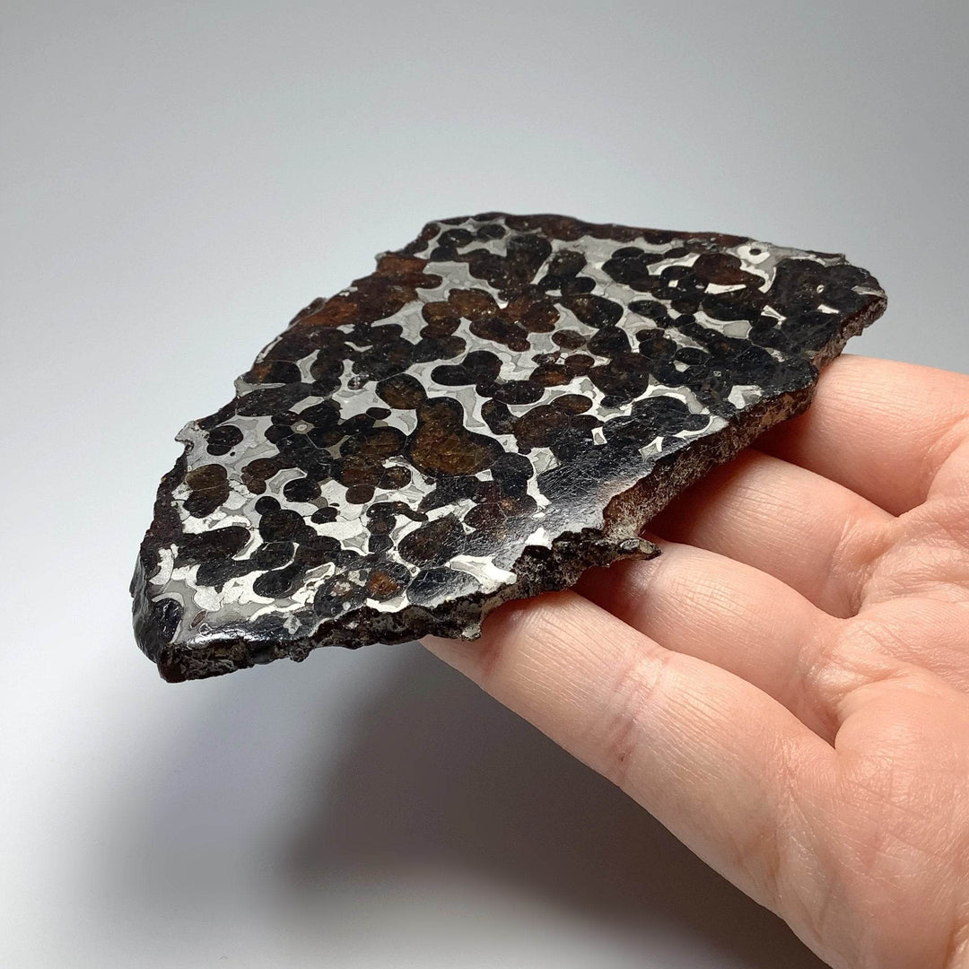 Sericho Meteorite Slice - Rocks and Gems Canada