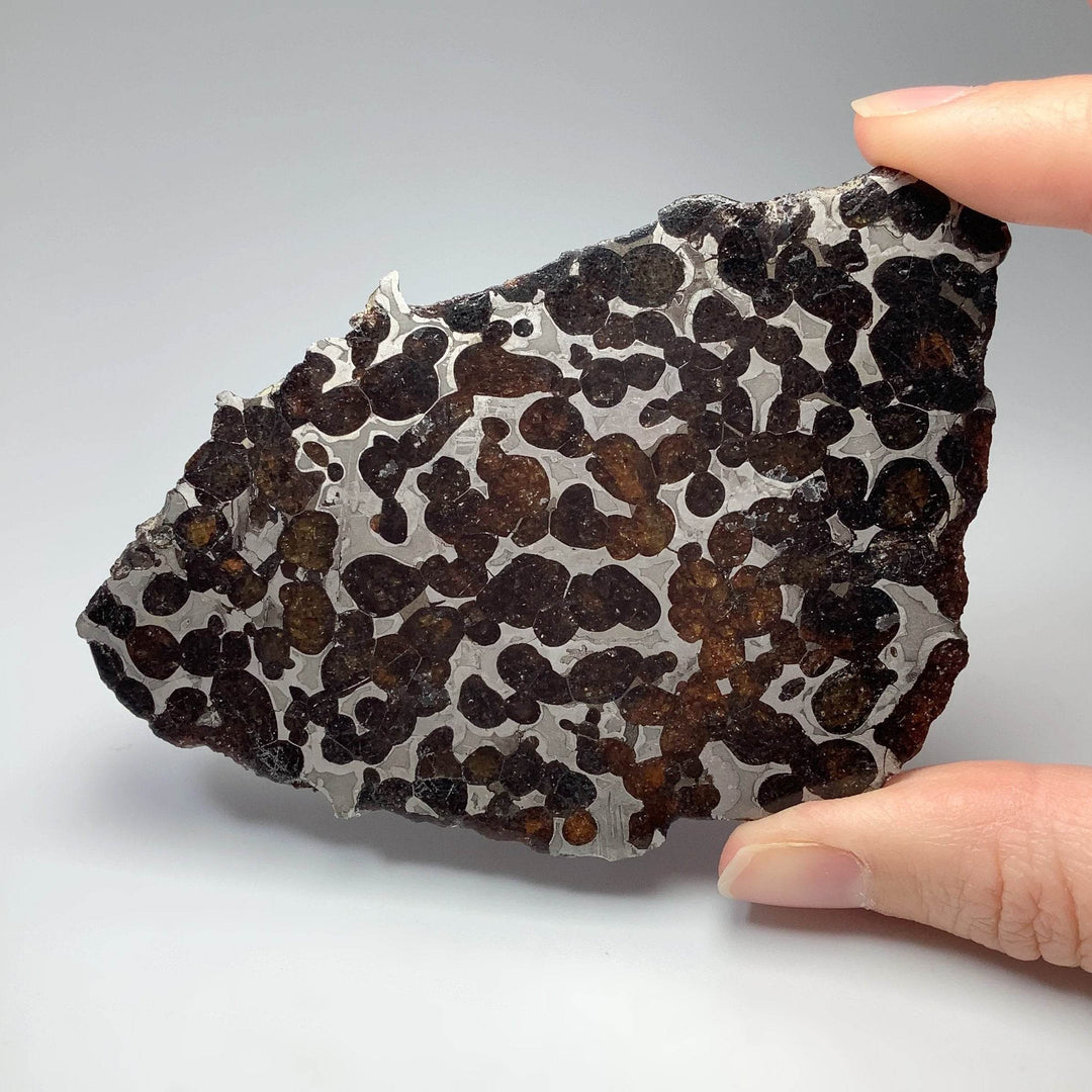Sericho Meteorite Slice - Rocks and Gems Canada