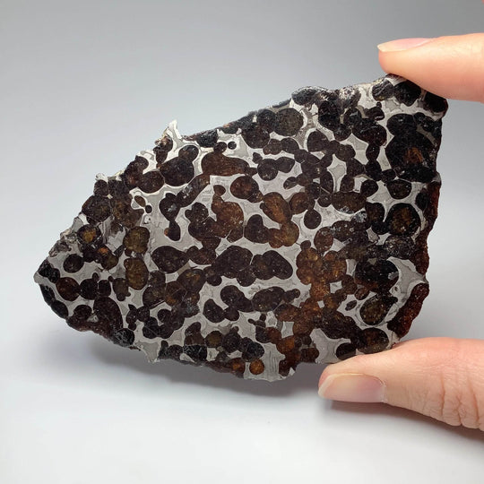 Sericho Meteorite Slice - Rocks and Gems Canada