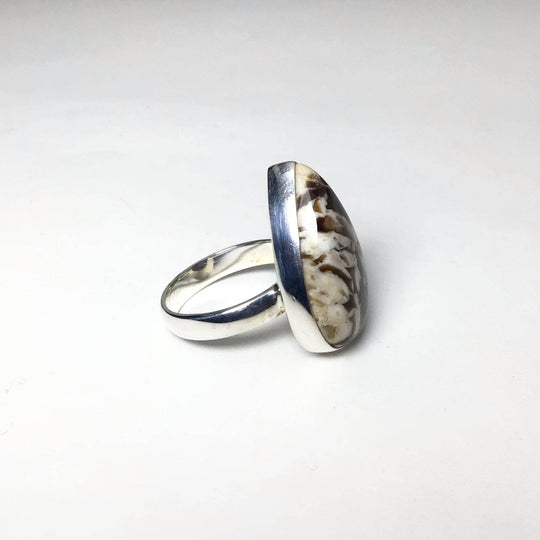 Petrified Peanut Wood Ring - Rocks and Gems Canada