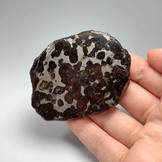 Sericho Meteorite Slice - Rocks and Gems Canada