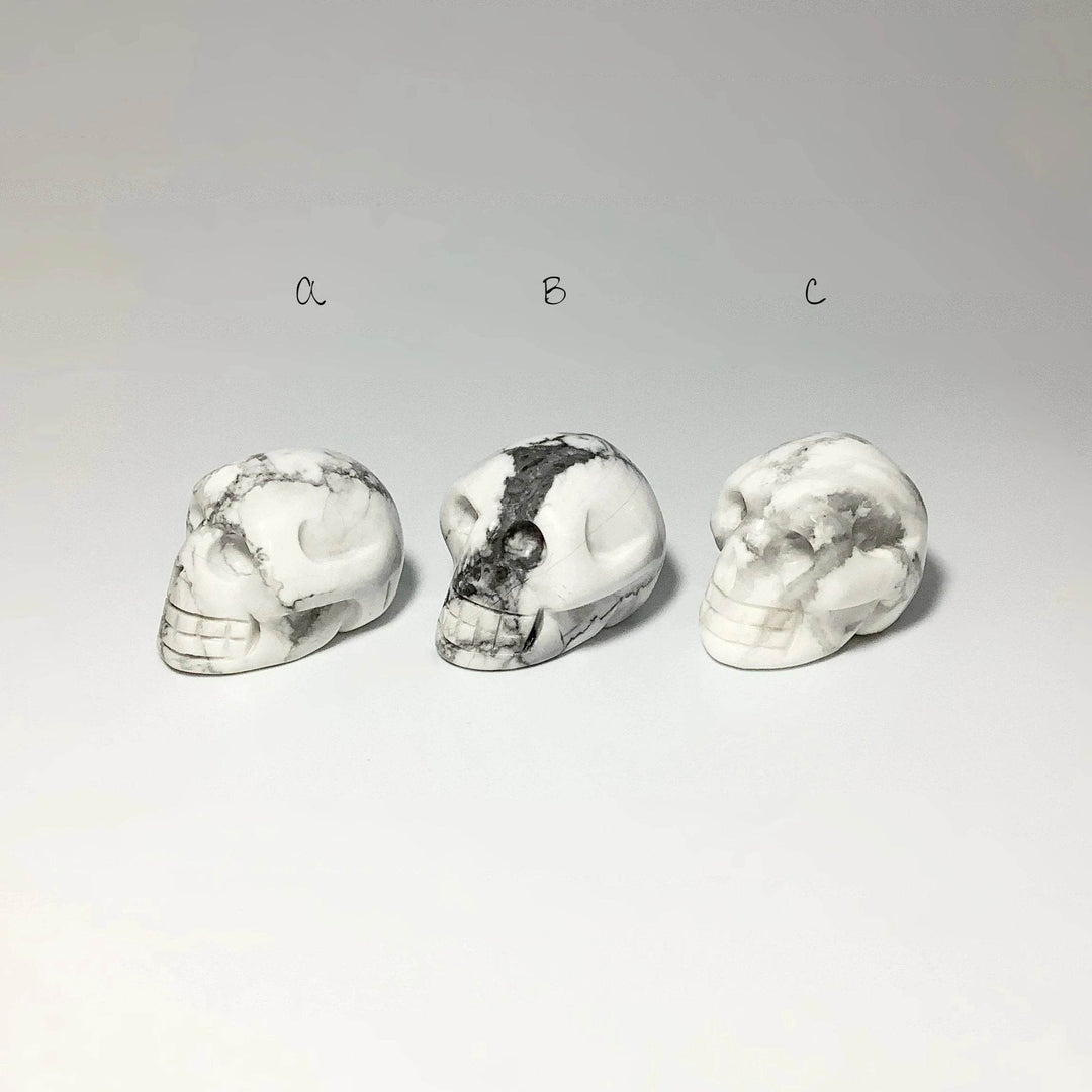 Carved Howlite Skull - Rocks and Gems Canada
