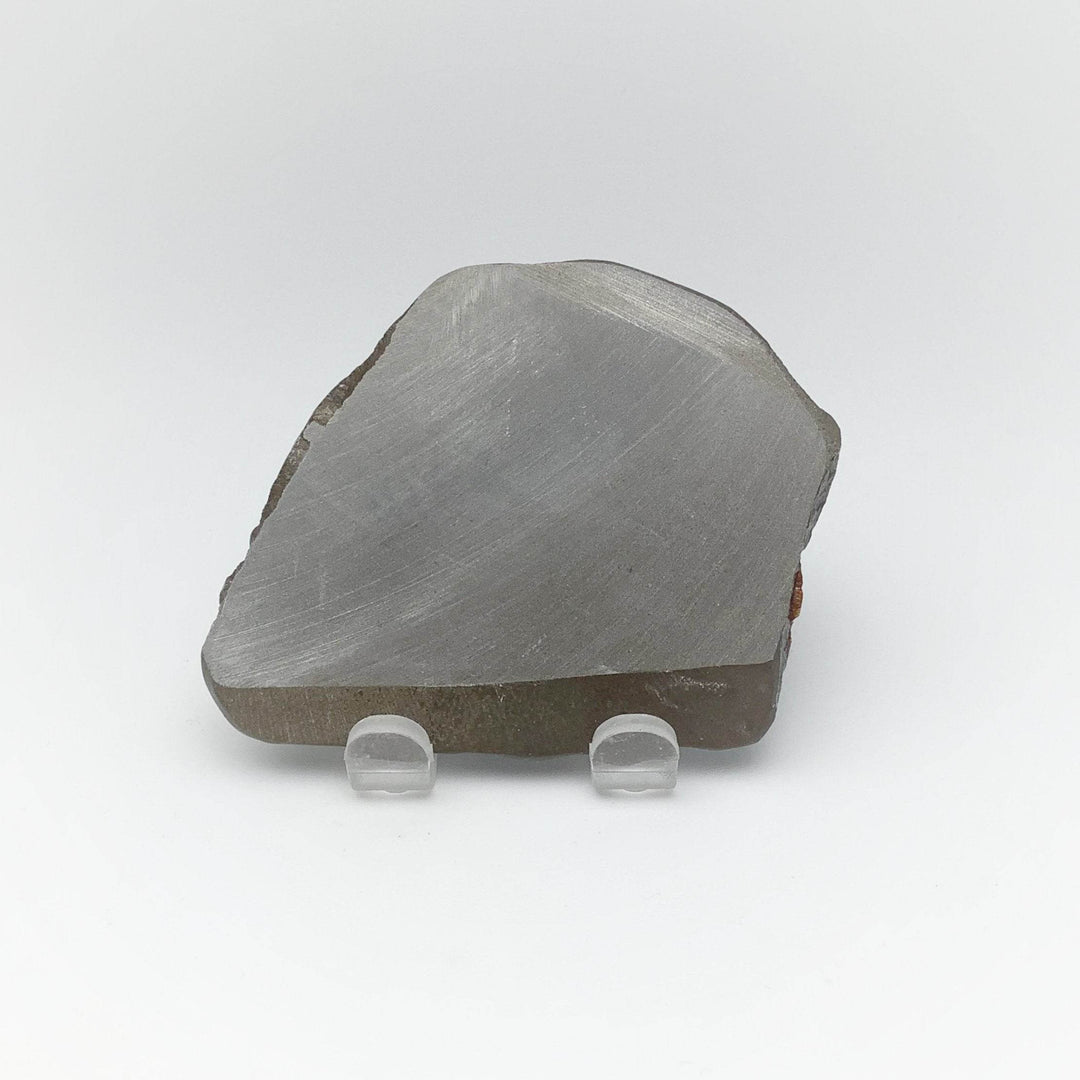 Ammolite Specimen - Rocks and Gems Canada