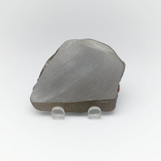 Ammolite Specimen - Rocks and Gems Canada