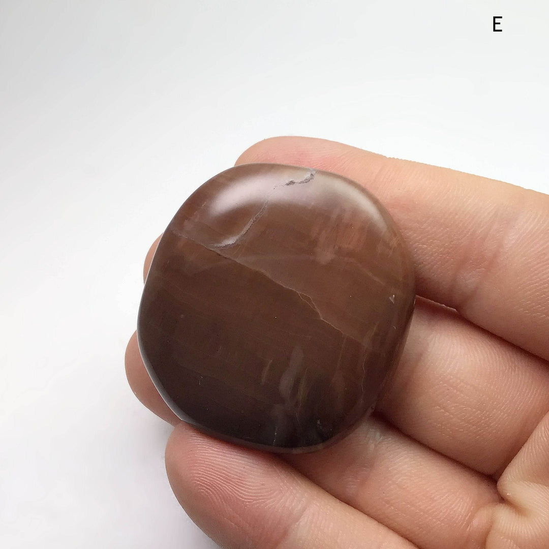 Petrified Wood Touch Stone - Rocks and Gems Canada