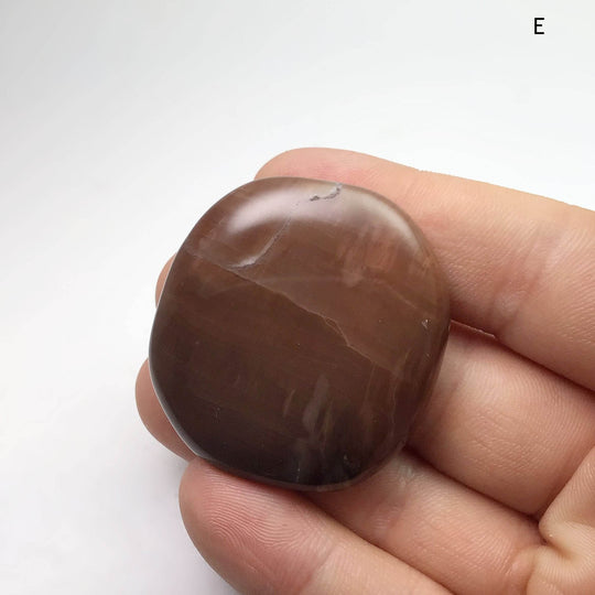 Petrified Wood Touch Stone - Rocks and Gems Canada