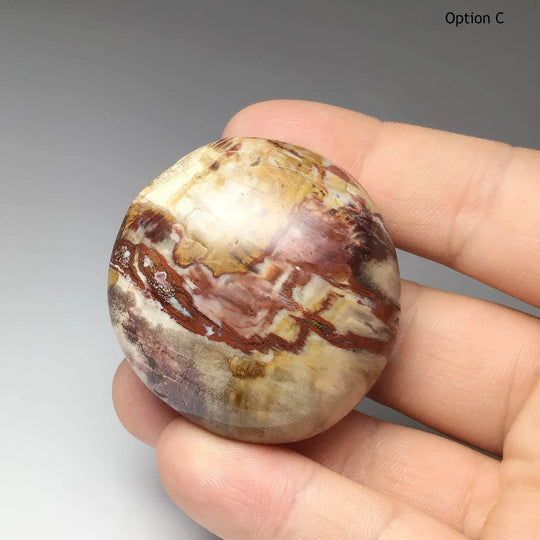 Petrified Wood Tumble - Rocks and Gems Canada