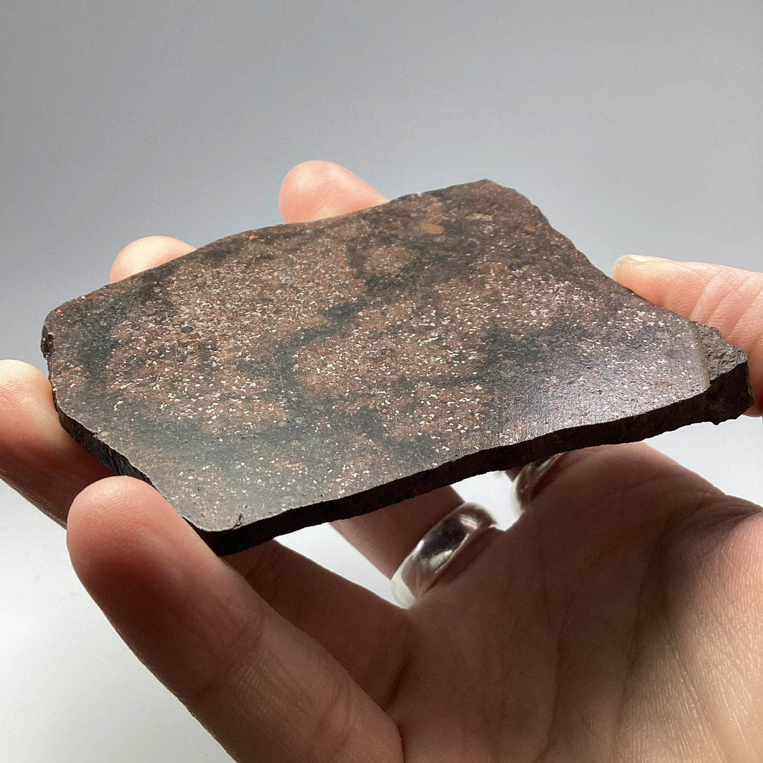 NWA Chondrite Meteorite Slab - Rocks and Gems Canada