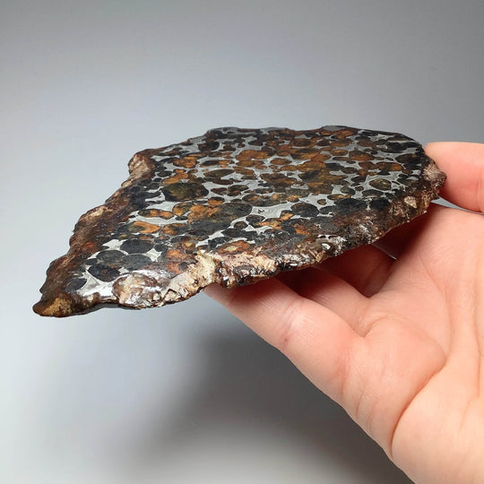 Sericho Large Meteorite Slice - Rocks and Gems Canada