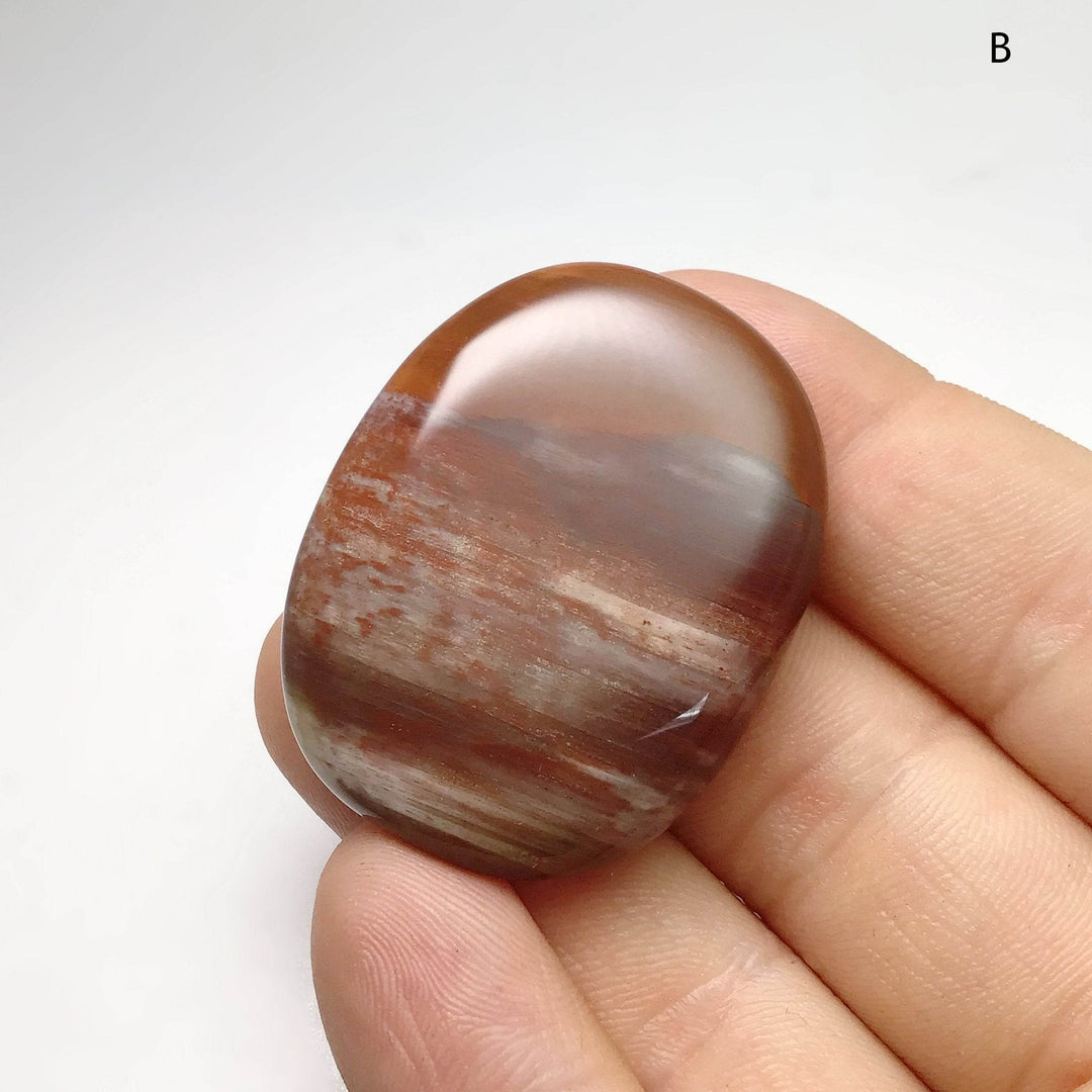 Petrified Wood Touch Stone - Rocks and Gems Canada