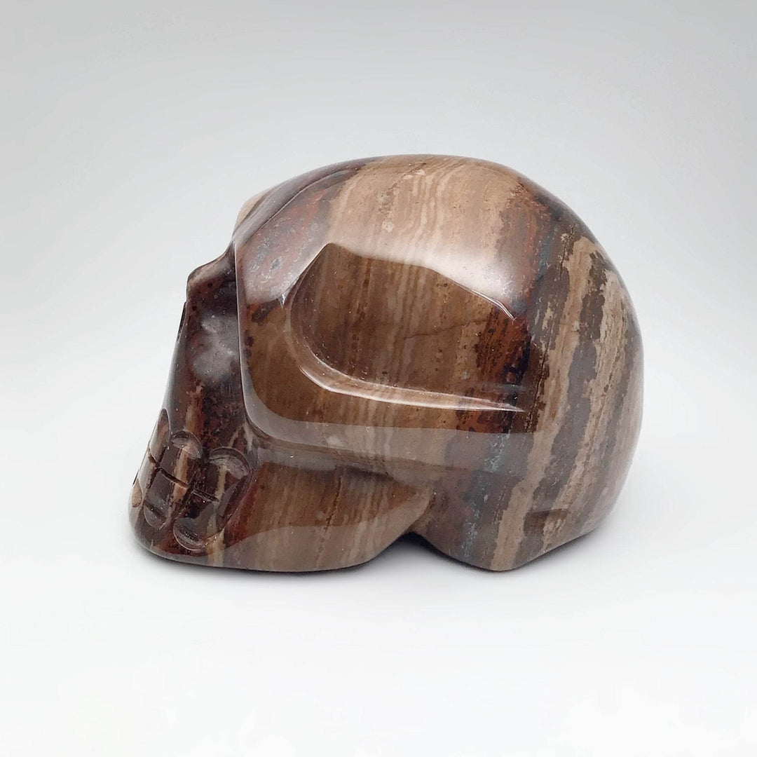 Carved Chocolate Jasper Skull - Rocks and Gems Canada
