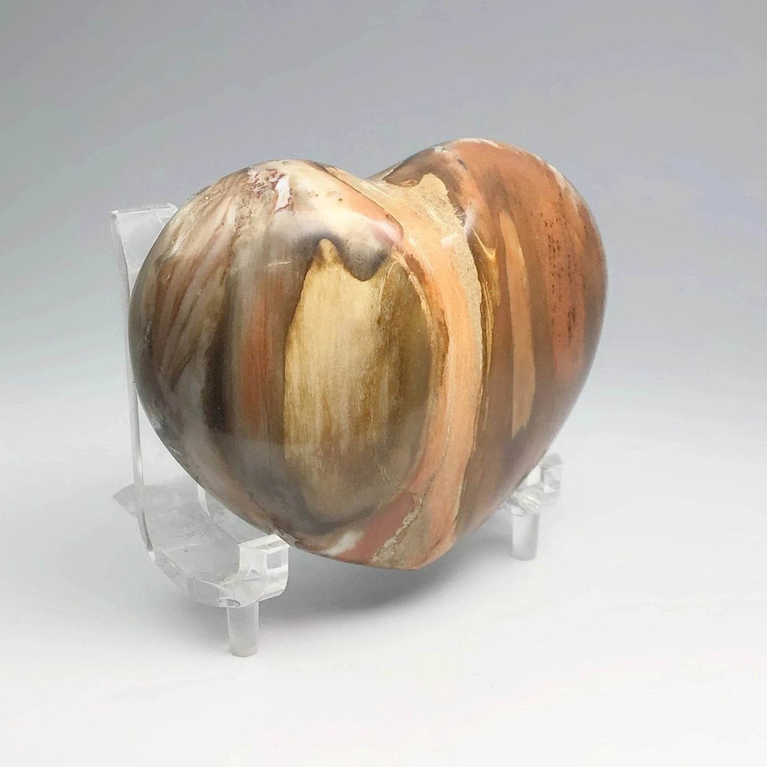 Petrified Wood Heart - Rocks and Gems Canada