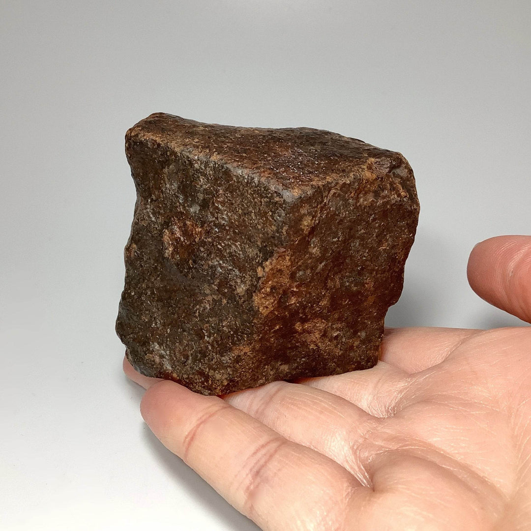 NWA Chondrite Meteorite - Rocks and Gems Canada