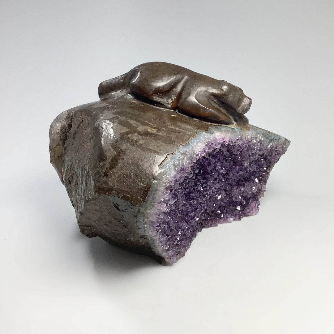 Amethyst Bear Carving - Rocks and Gems Canada