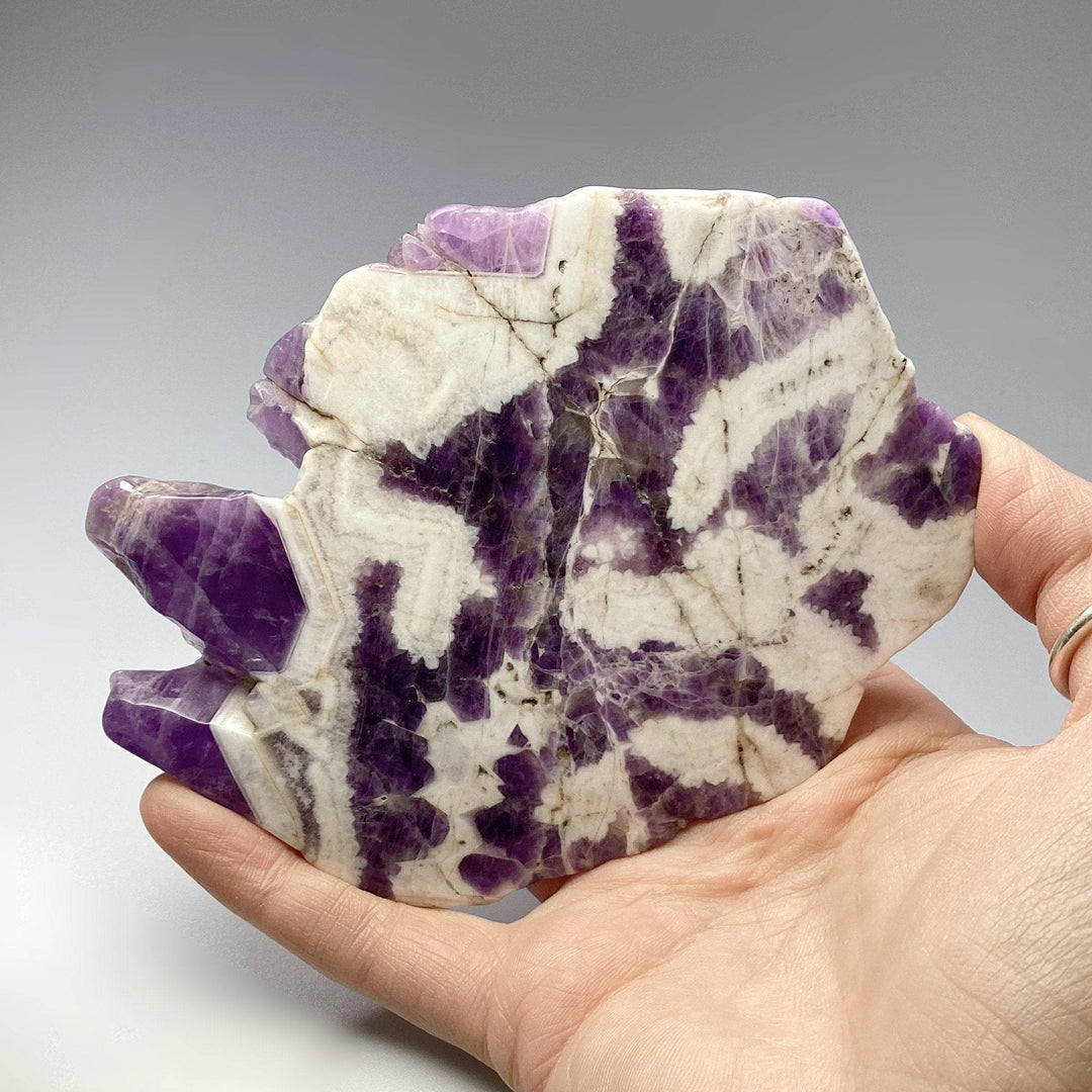 Chevron Amethyst Slice - Rocks and Gems Canada