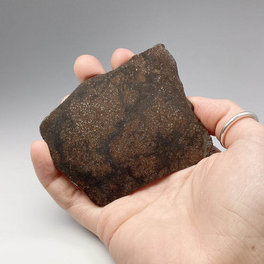 NWA Chondrite Meteorite Slab - Rocks and Gems Canada