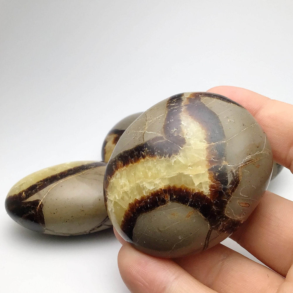 Septarian Tumble - Rocks and Gems Canada