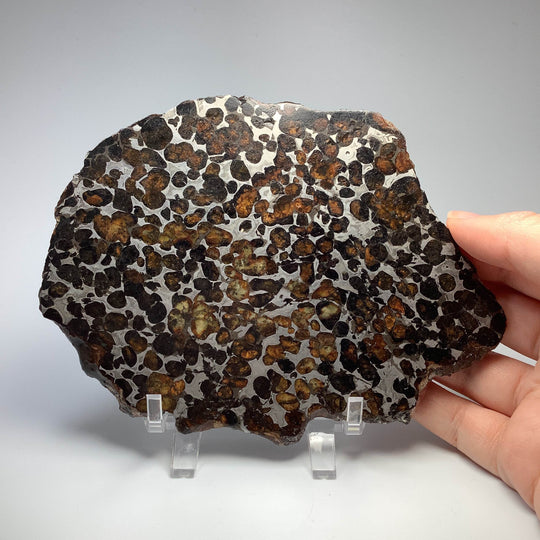 Sericho Large Meteorite Slice - Rocks and Gems Canada