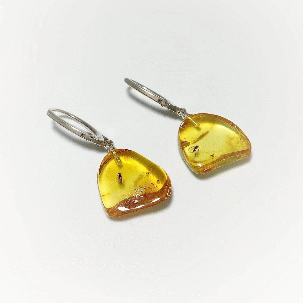 Amber with Preserved Insect Inclusion Dangle Earrings - Rocks and Gems Canada