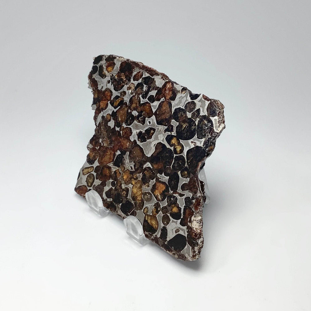 Sericho Meteorite Slice - Rocks and Gems Canada