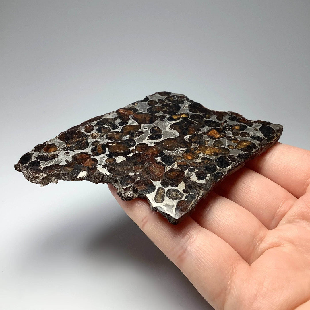 Sericho Meteorite Slice - Rocks and Gems Canada