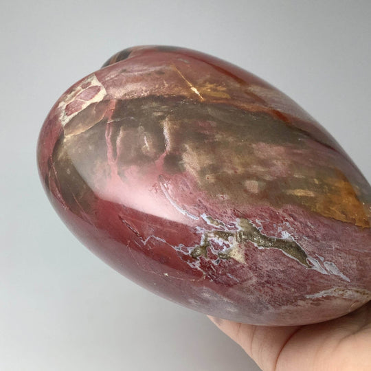 Petrified Wood Large Heart - Rocks and Gems Canada