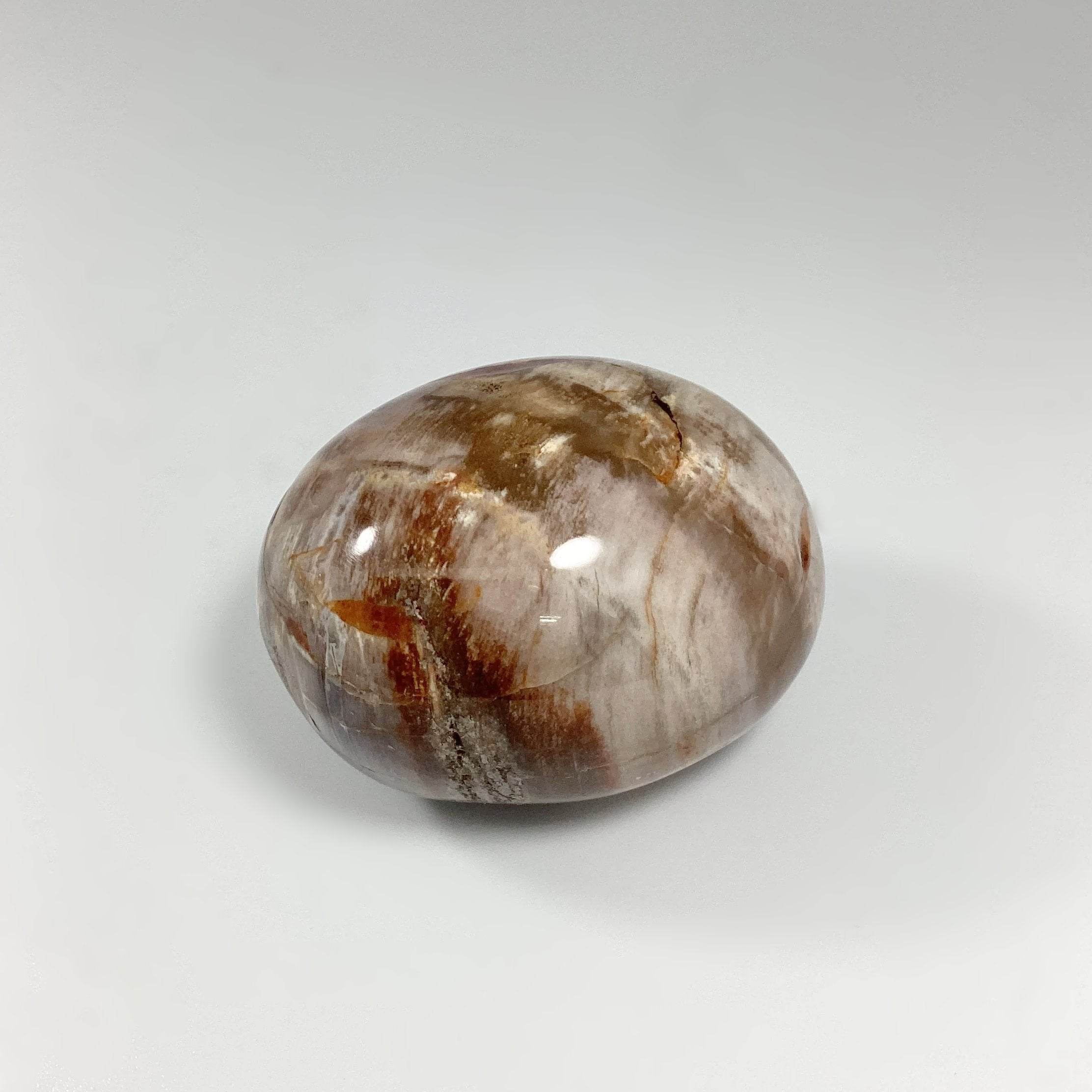 Petrified Wood Tumble - Rocks and Gems Canada