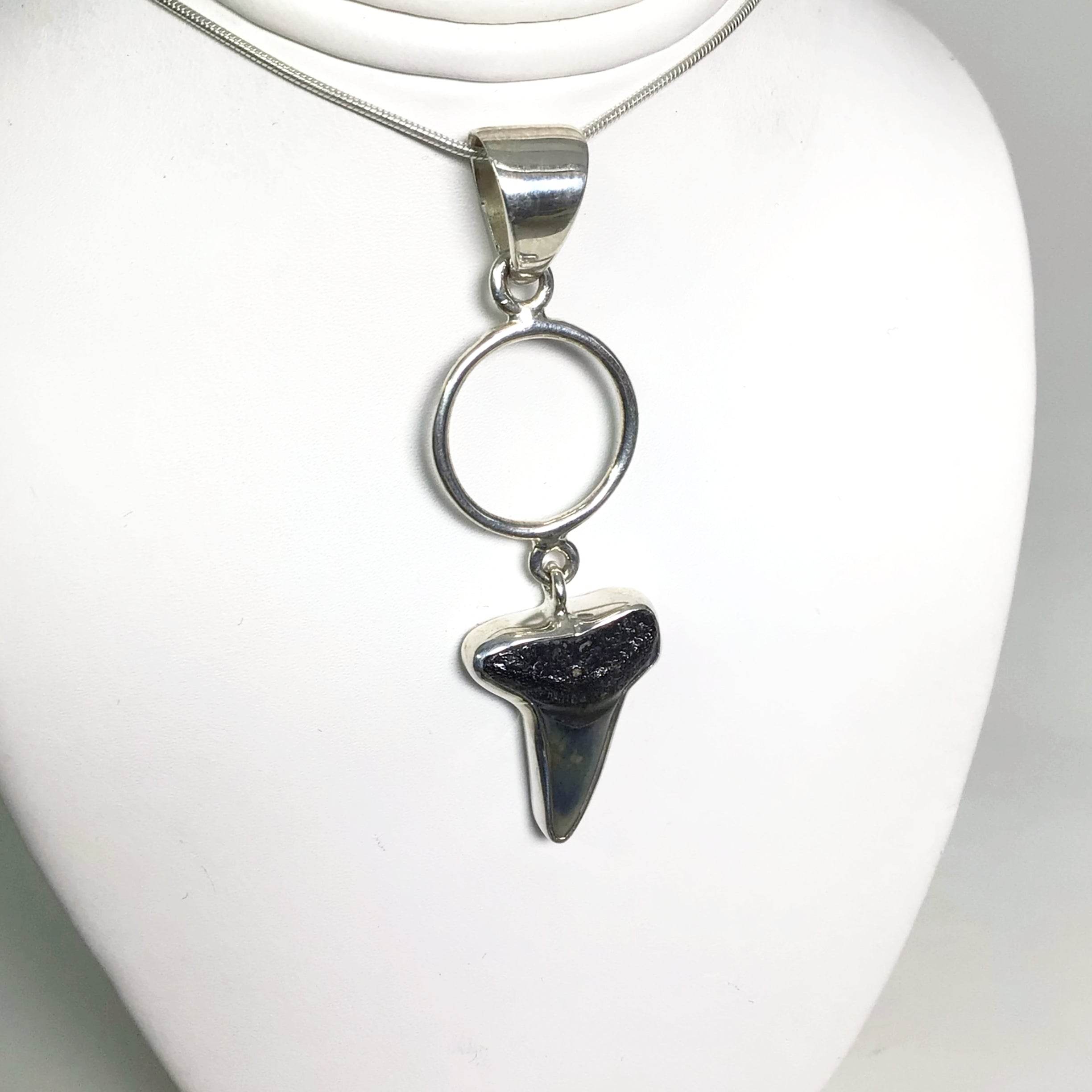 Fossilized Shark Tooth Pendant - Rocks and Gems Canada