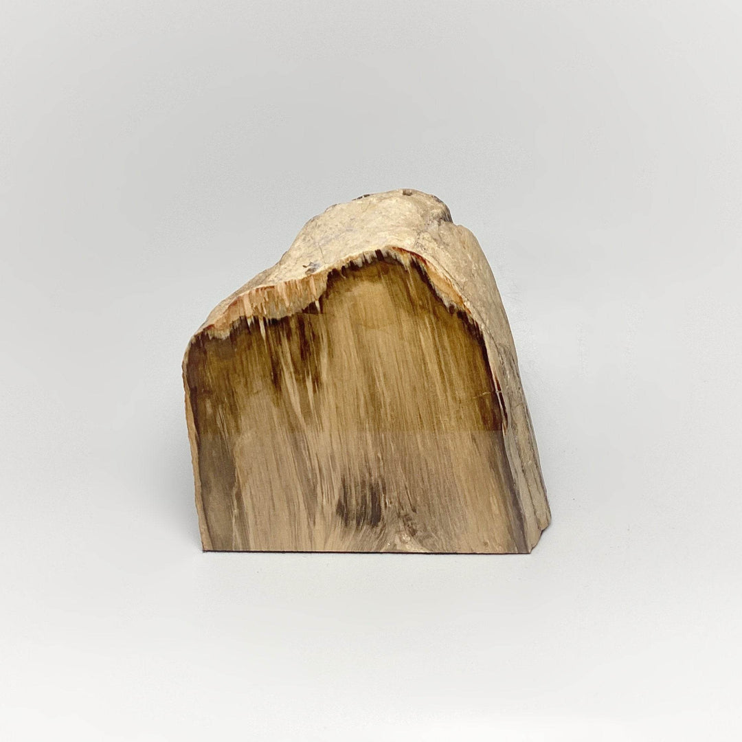 Petrified Wood Stand Up - Rocks and Gems Canada