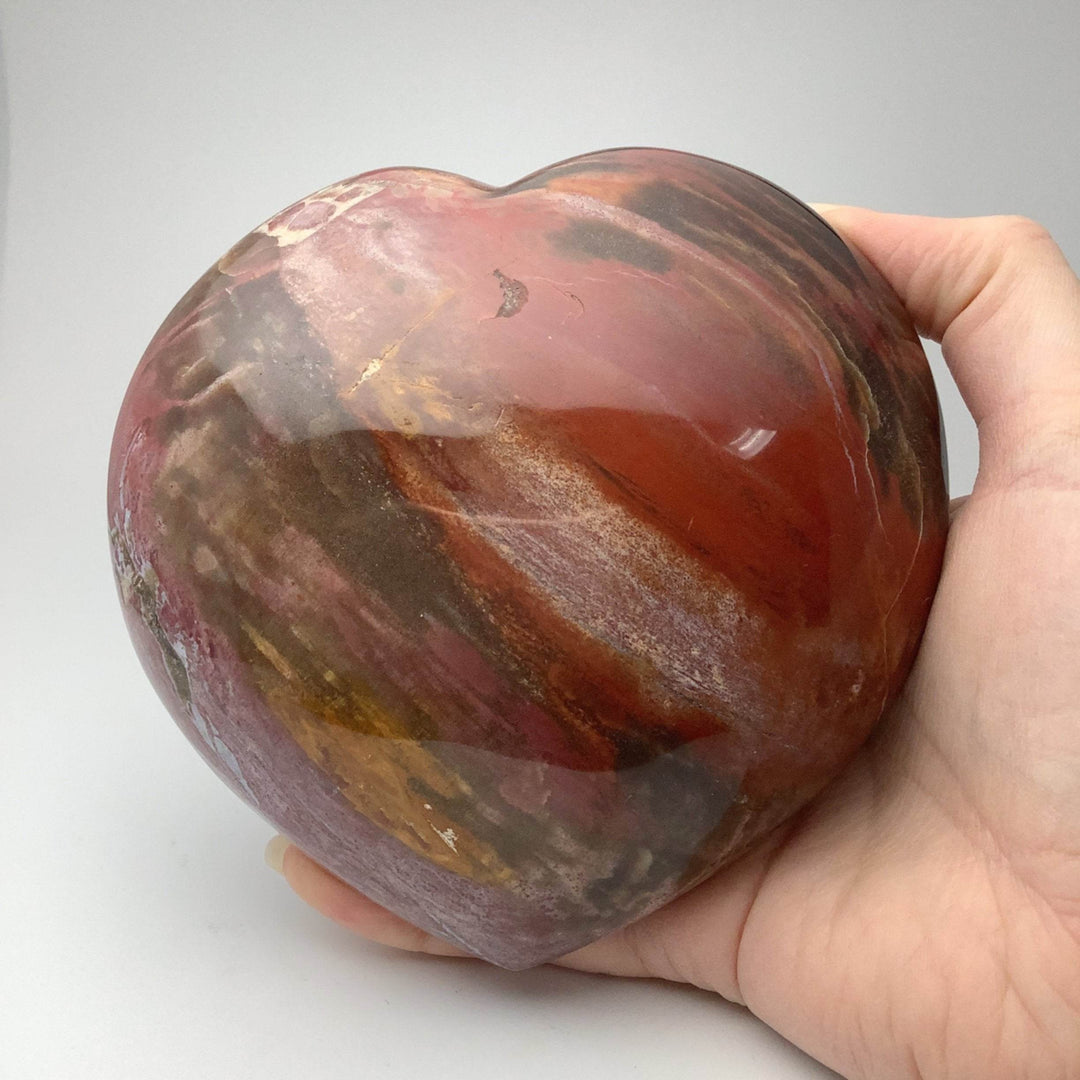 Petrified Wood Large Heart - Rocks and Gems Canada