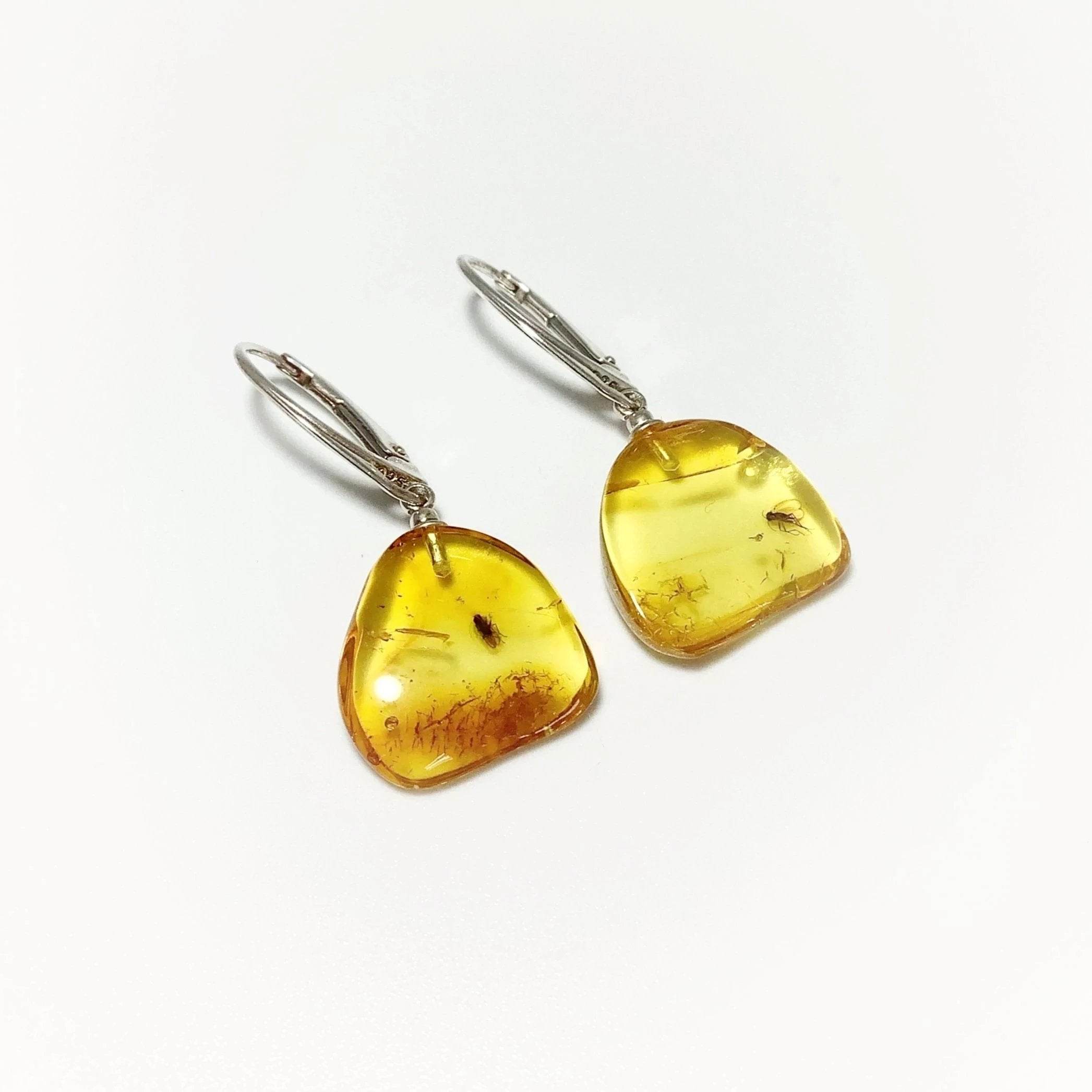Amber with Preserved Insect Inclusion Dangle Earrings - Rocks and Gems Canada