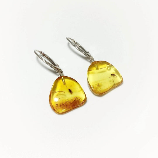 Amber with Preserved Insect Inclusion Dangle Earrings - Rocks and Gems Canada