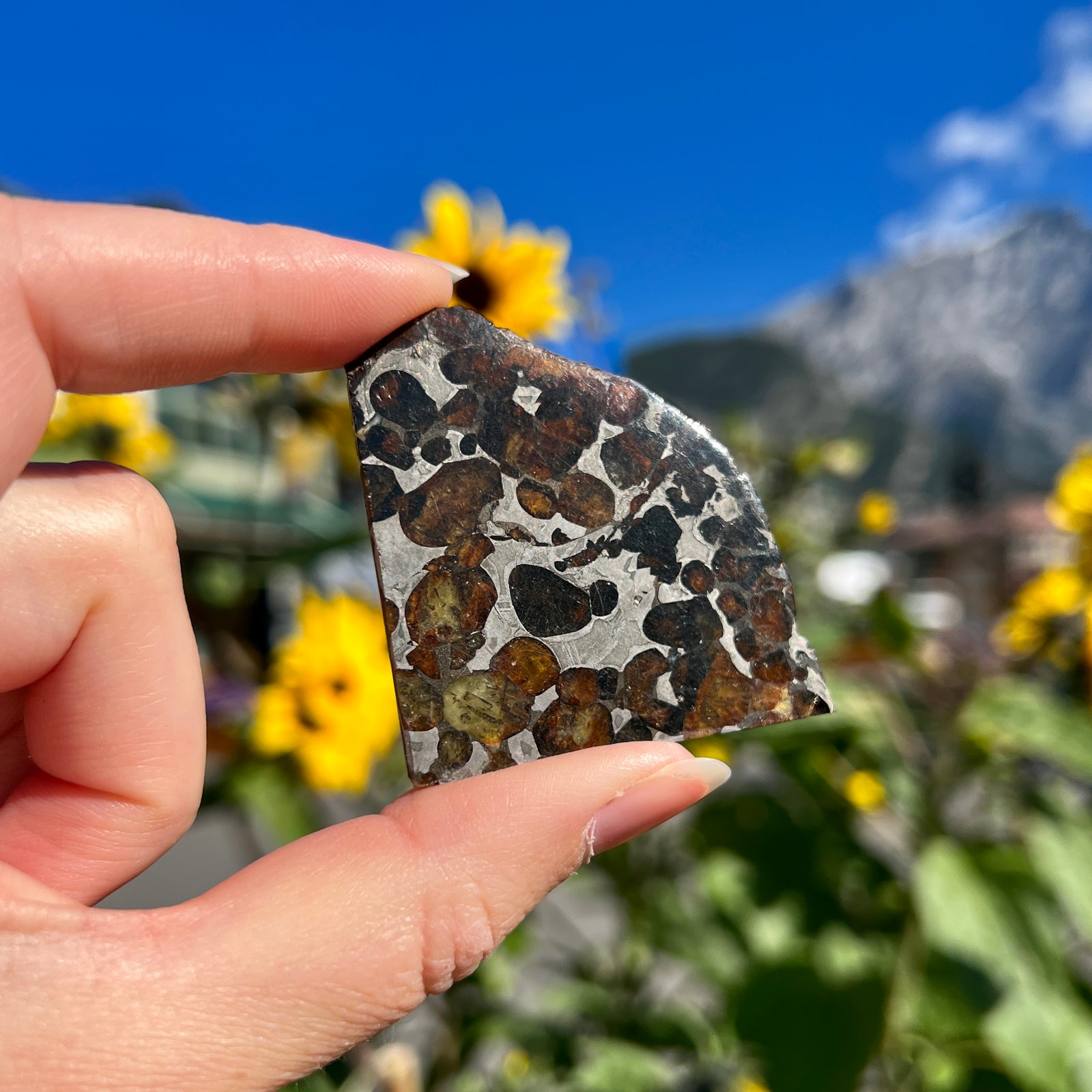 A Beginner's Guide to Meteorites