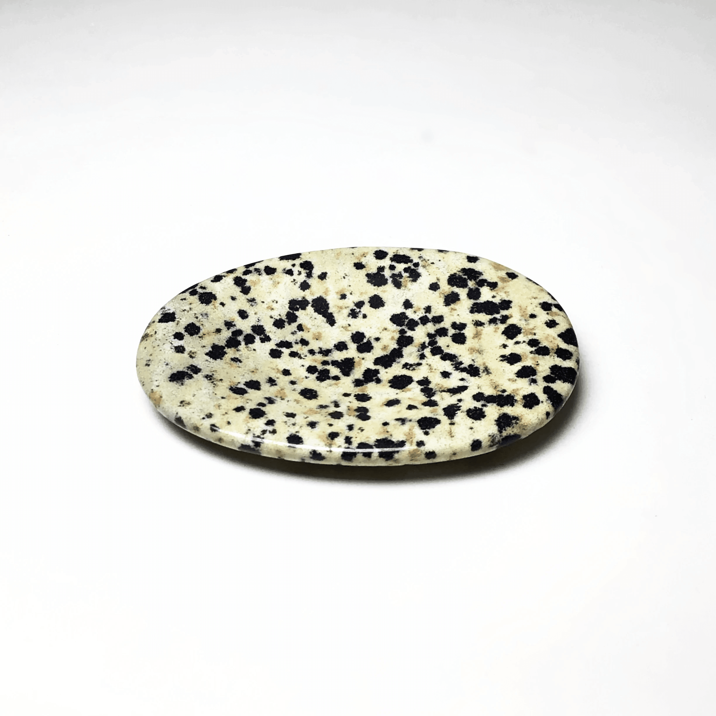 Dalmatian Jasper - Rocks and Gems Canada